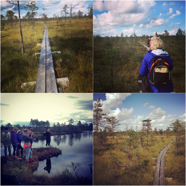 Räätsamatk