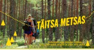 Täitsa metsas! Täitsa metsas!